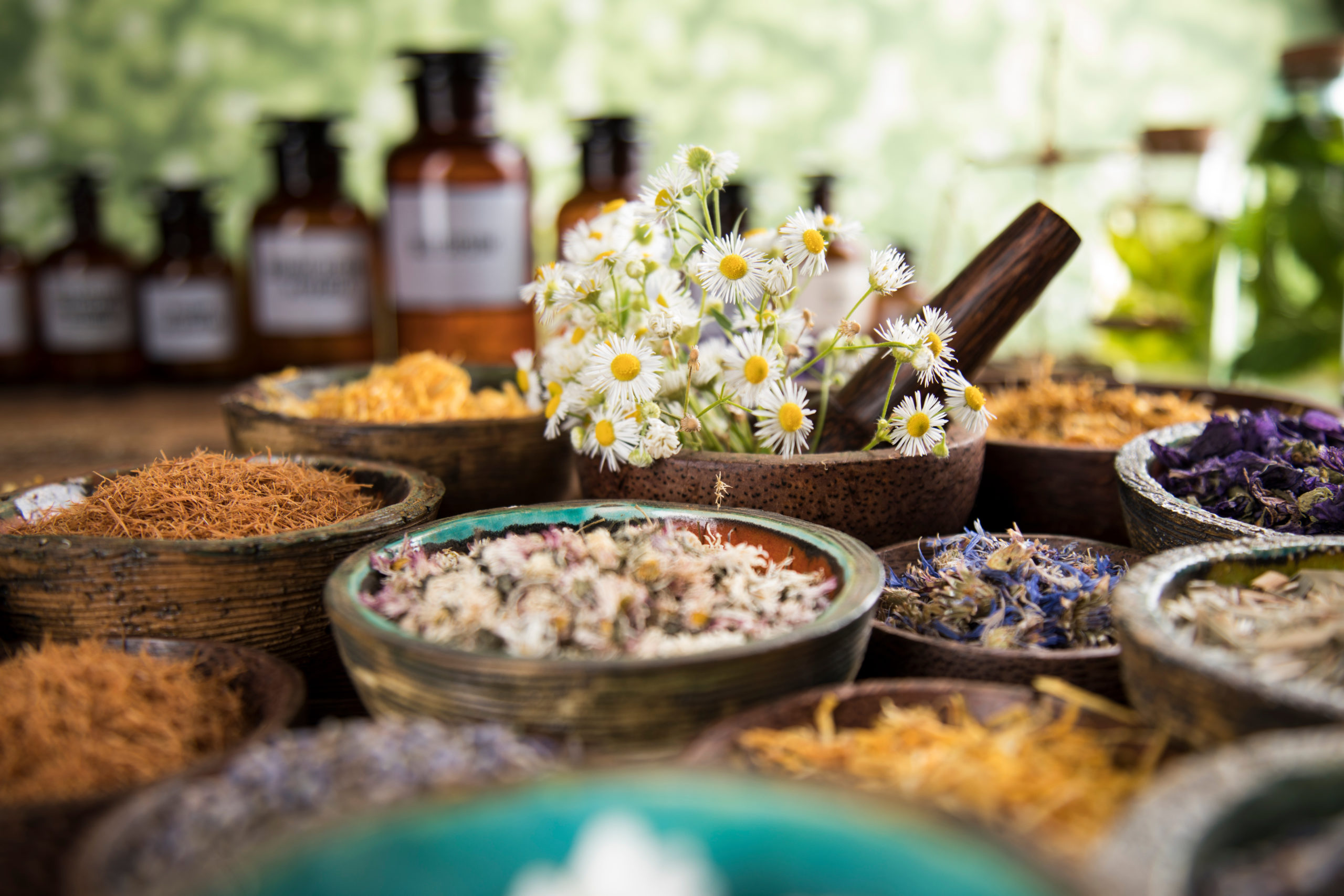 Homöopathie, Pflanzenbestandteile und natürliche Medizin steht in Holzschalen auf einem Tisch